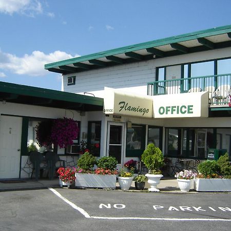 Flamingo Motel Penticton Exteriér fotografie