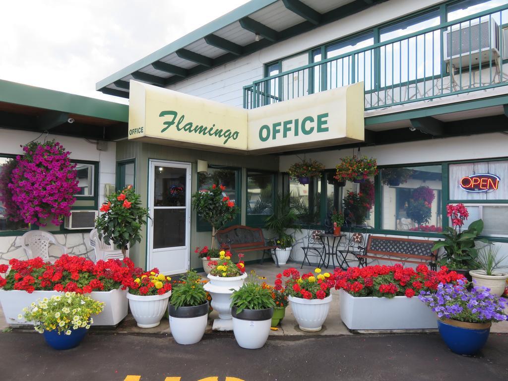 Flamingo Motel Penticton Exteriér fotografie